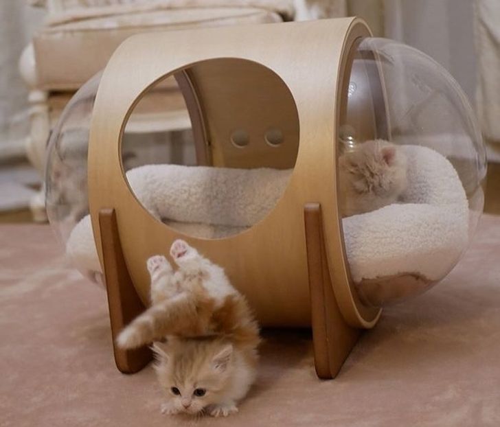 dc50cf51f688b714e01baeae30