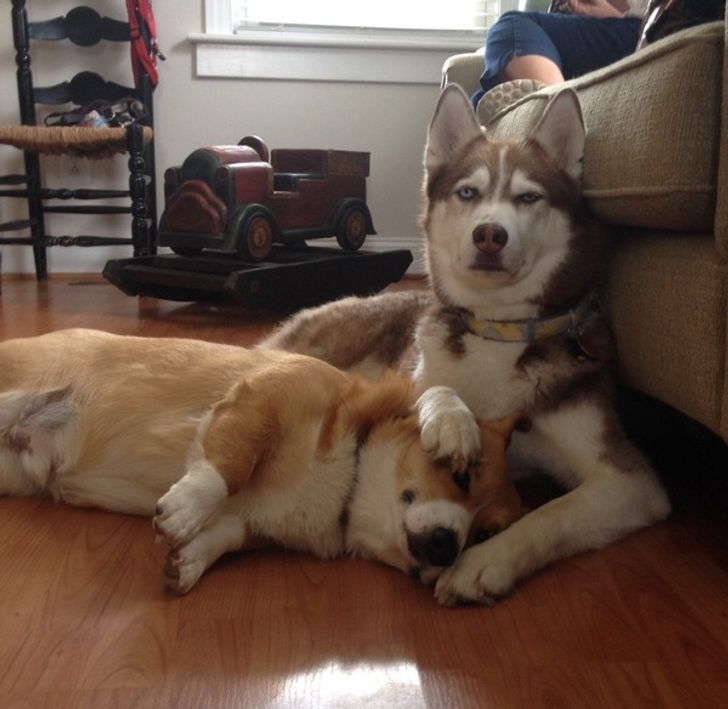 dc553d5ca9b45d1d84c59f534c