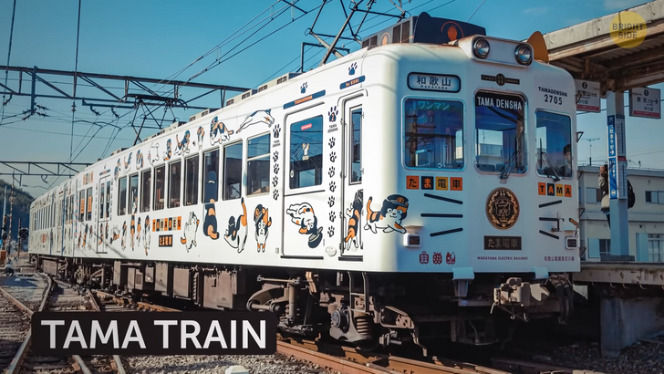 dc5a7952179f8cc608dc81a310