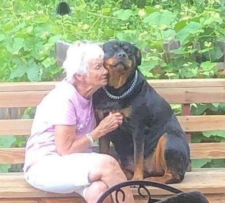 dc6007567c89c562958b9d698f