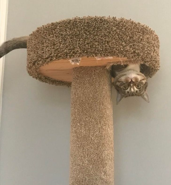 dc62cc5a4d9302ff15abe700c1