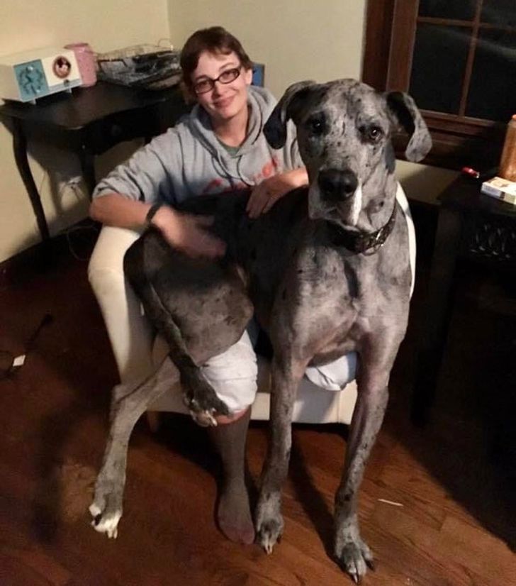 dc6c575f47b6124711148ffda0