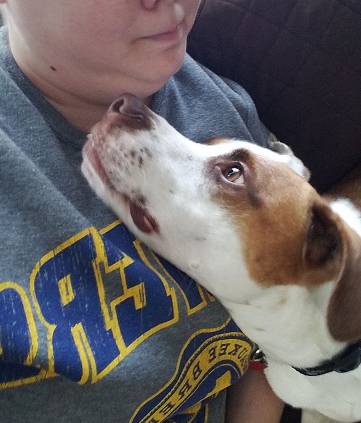 dc6cff5507a40eb9b54a2f9bd3