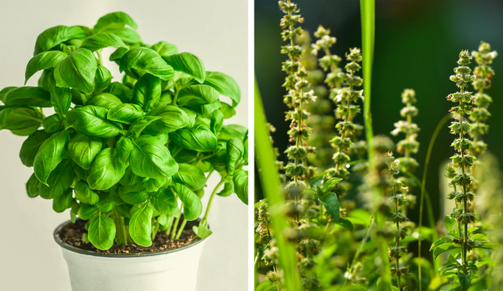 dc79375679bd351004edb933c3