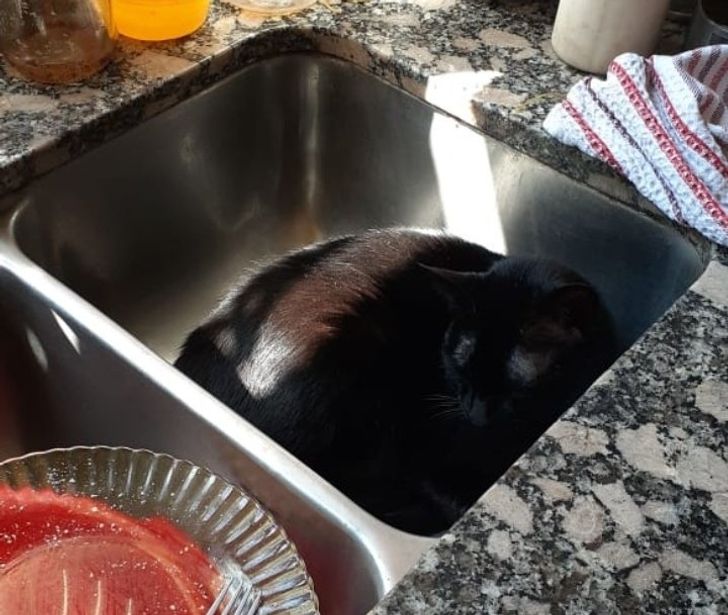 dc7d3e50a2a7de8ee0d44d23fb