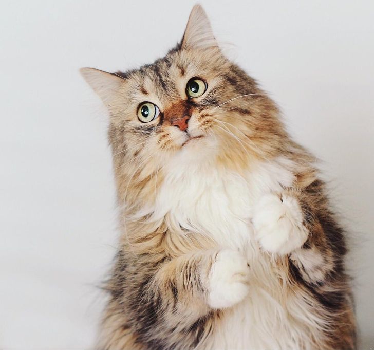 dc7f23568fb7375f770775272b