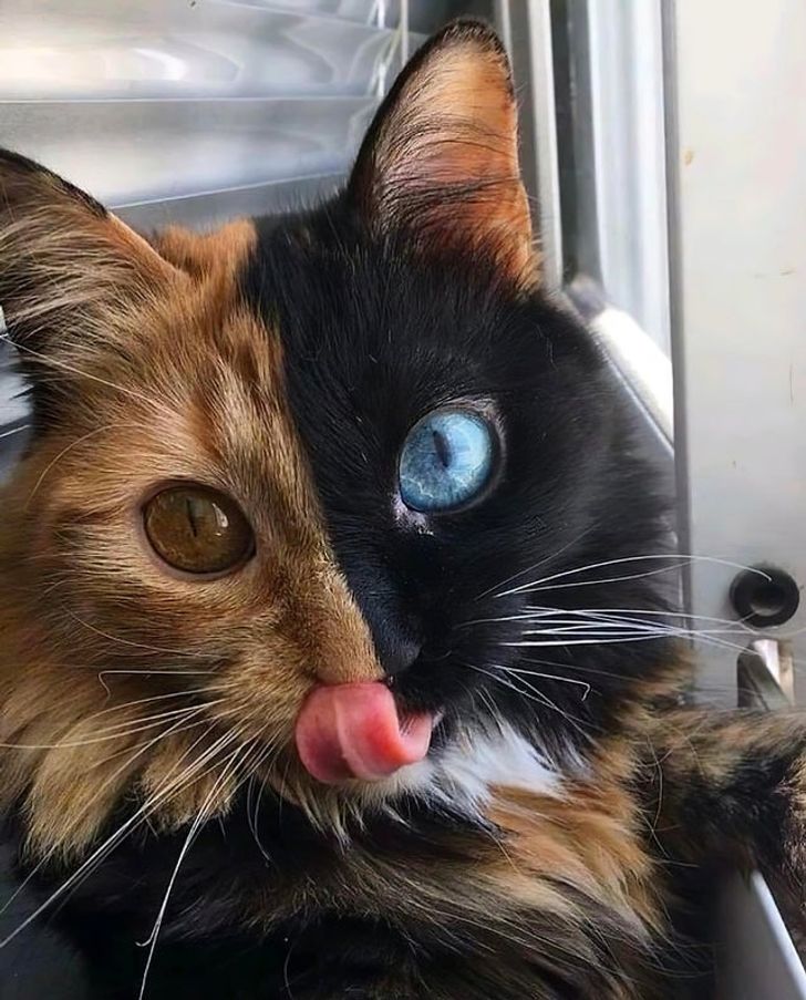 dc863a5af2ab51e01f8a40cef9