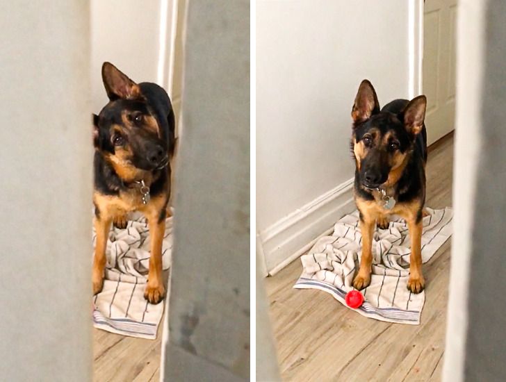 dc9026544b9645d90f0e5a6da4