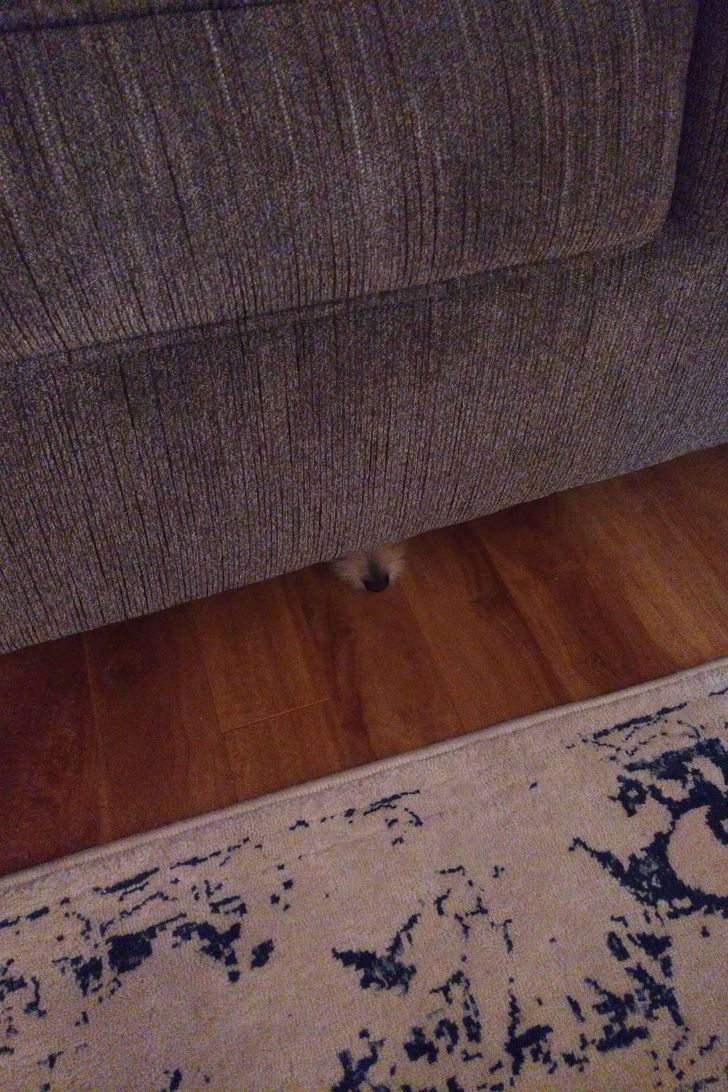 dc91505b65b64ea70244c94079