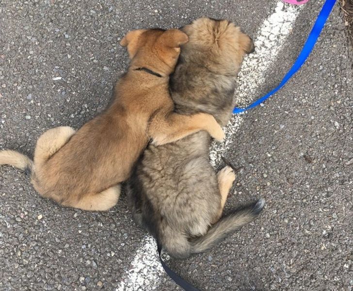 dc91a25574a9efae38673b3830