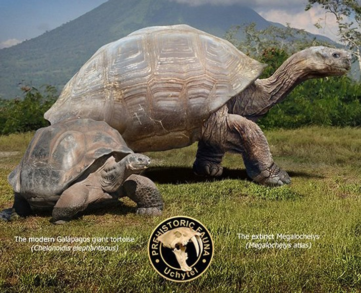 dc92715db9974ff7dddc58aa37