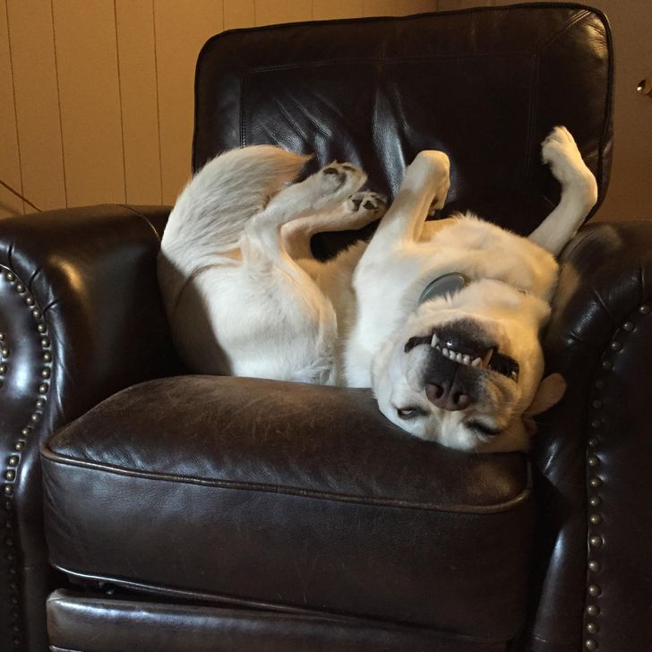 dc967e52439b49bc034d7f4290