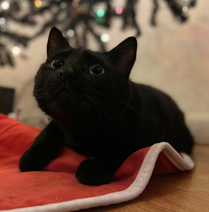 dc9a055b46ae589d477da573b9