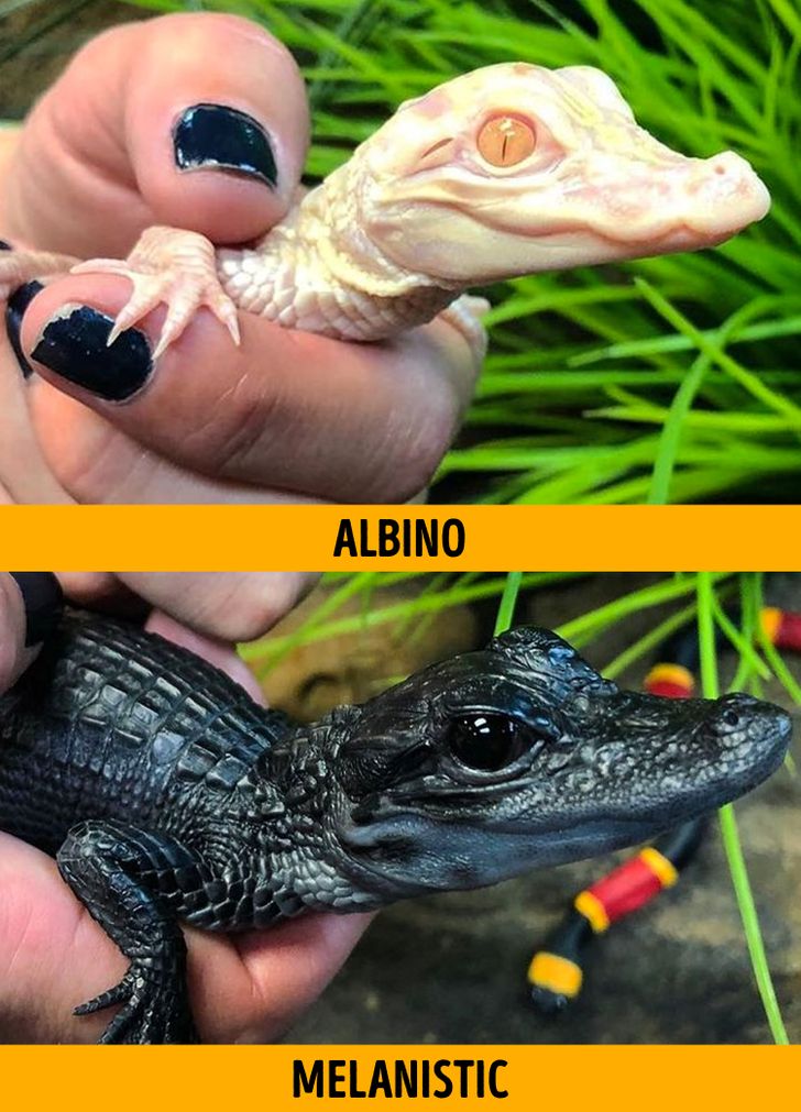 dc9ad8503a80dc88bf2227f40a