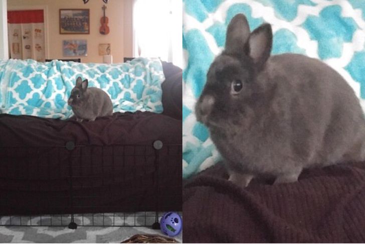 dca2955577a8766c06175f44b3