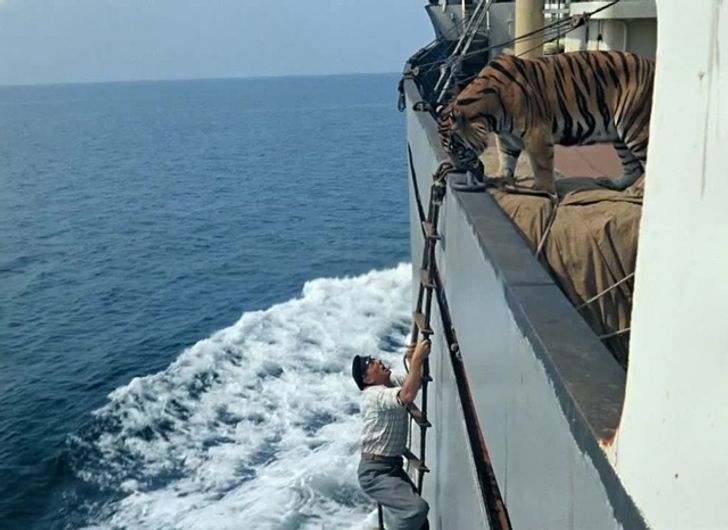 dca7155f39bf4c29026a977b0a