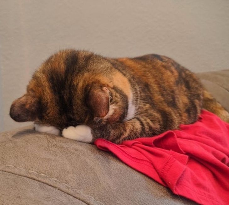 dcaf525075a62f2b0a9a987312