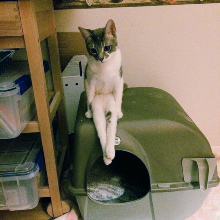 dcb5e455fe89bd4e8a1a3bce9d