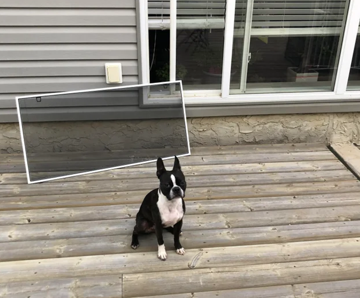 dcb70453a6aa837d66bb85ad19