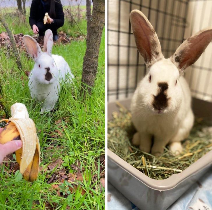 dcbf9d574a9d4032683b7dffb7