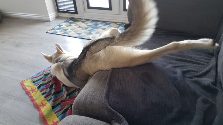 dcc4235b13be0e169eac8494fe