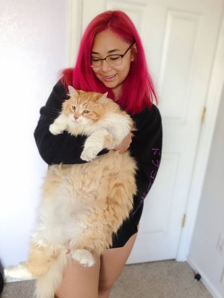 dcc4b55625aeac250c15a92233