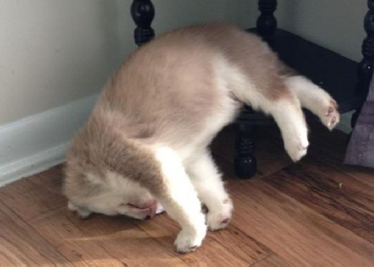 dccb0b5371ae043b2365a97d4c