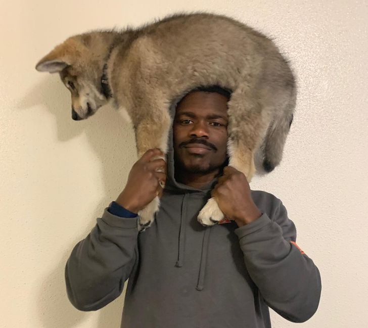 dcd86f5eb8b6312b7ba18b9cb6