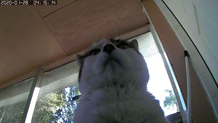 dceae05ad1a14f062ce42dc261