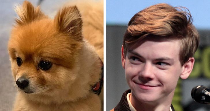 dcee8a5ee3a1a17ae925613d9b