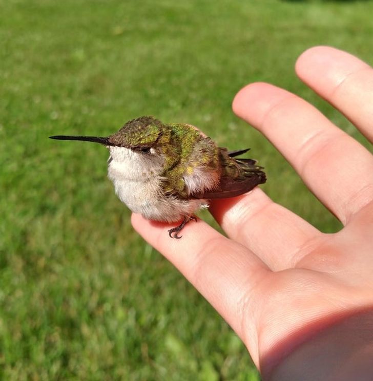 dceea35f10a8d4c0c89b2df529