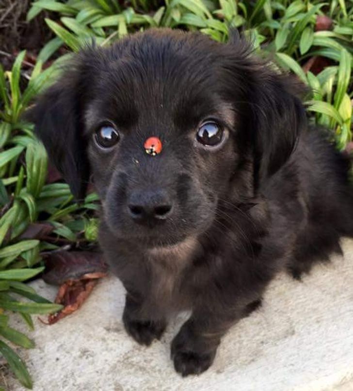 dcf03357c693ae1c2f8358b8f1