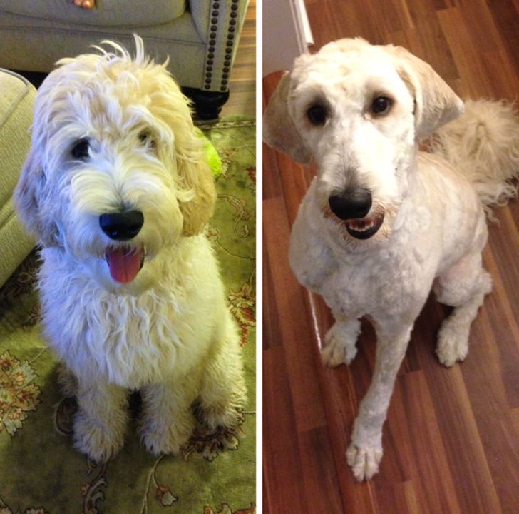 dcf23d507cac026b5d9f33fb91