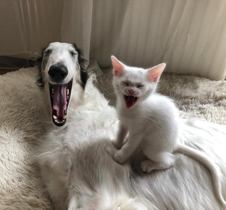 dcf24f54c98088bdbfaeff39ac dcf24f54c98088bdbfaeff39ac