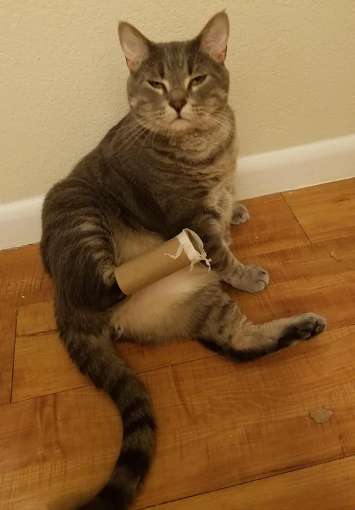 dcf5035d9ab8e6ac20a30e83e1