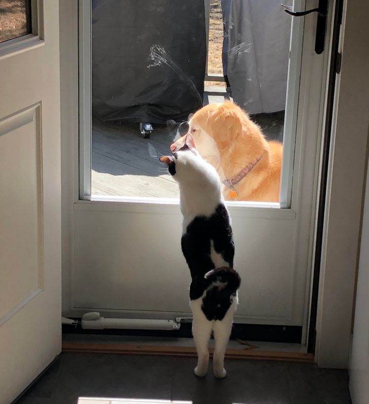 dcfa995e4b8af5074a30b70ad7