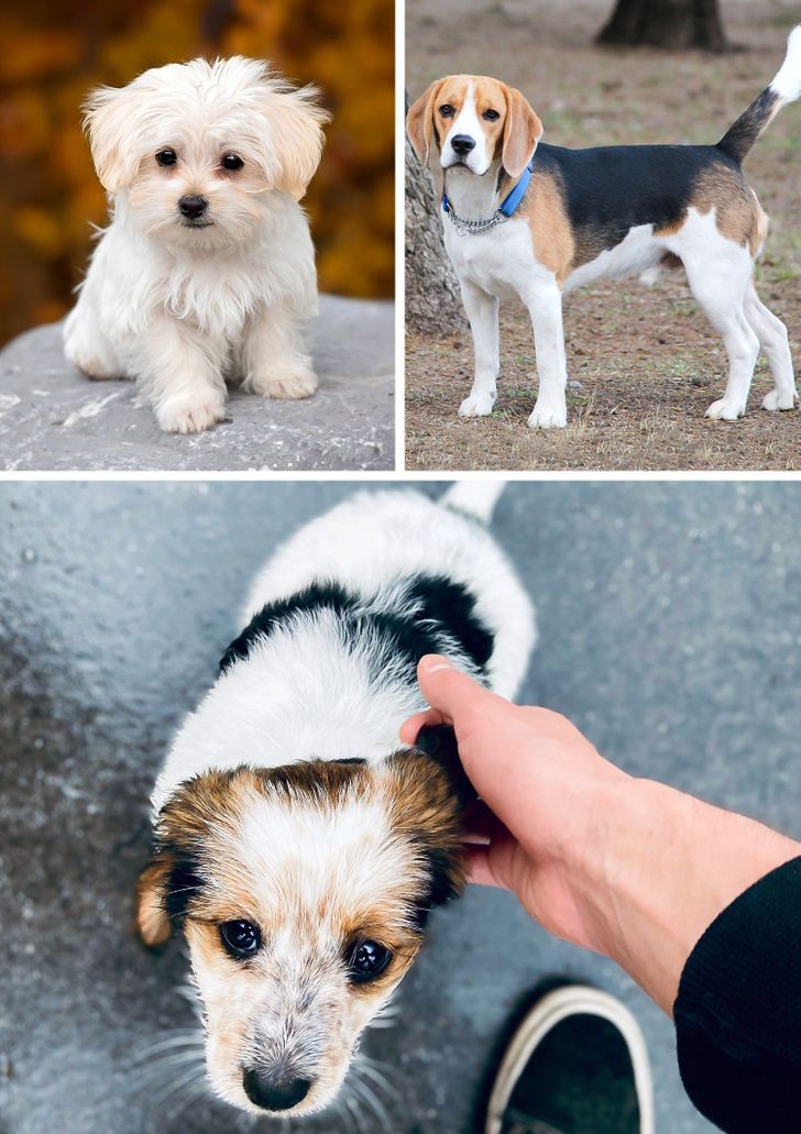 dd04e25fa6872984272c5ce784