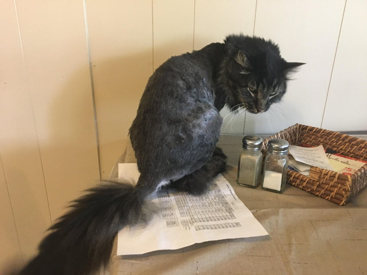 dd08d1582994328d97559b46a0