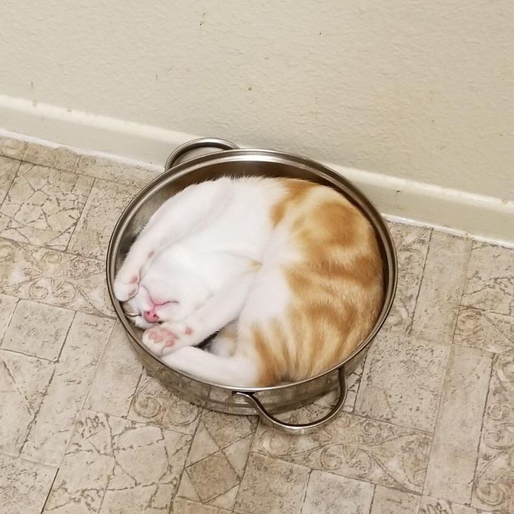 dd09df5d5bbd7f571ba501f3e0