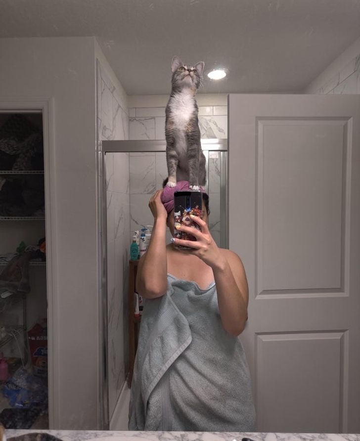 dd0b9c5090b68c28f25531b98b