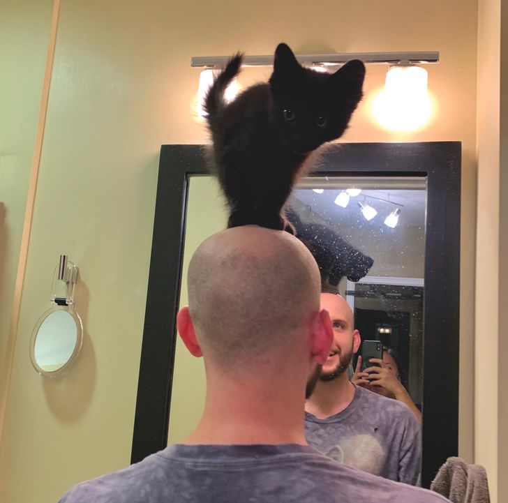 dd0c7b5bddb3c4243fbff877db