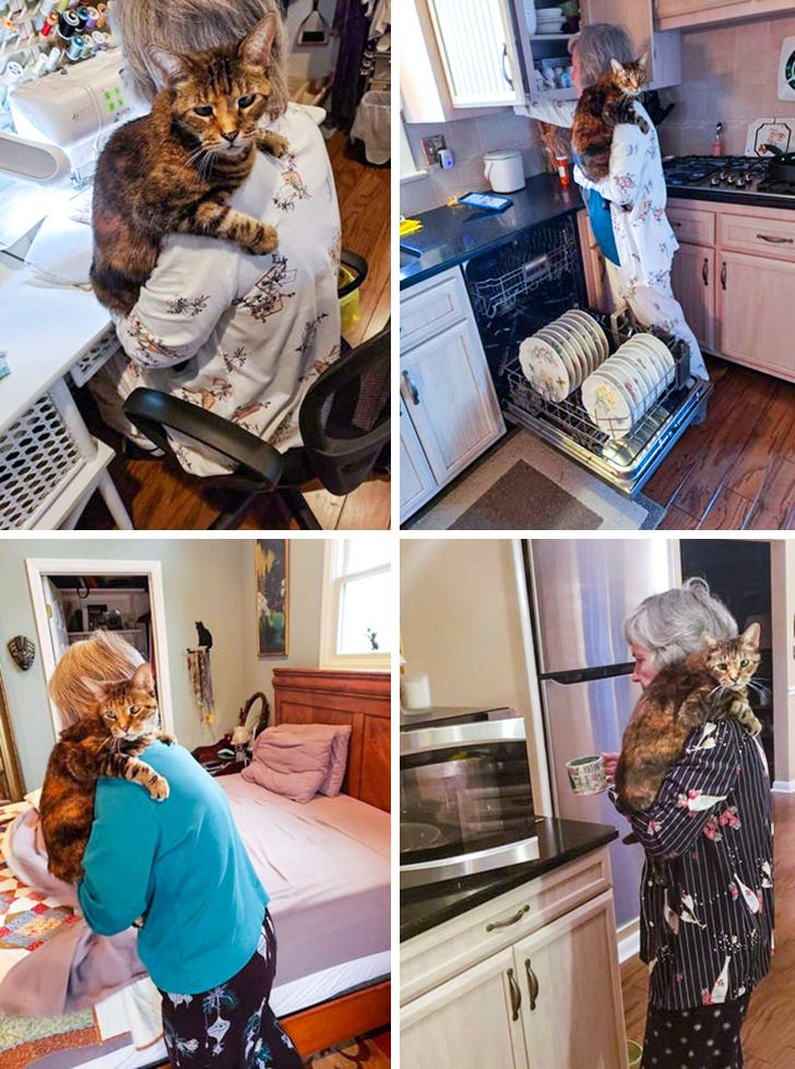 dd10d75d29ad6540918fd9f51d