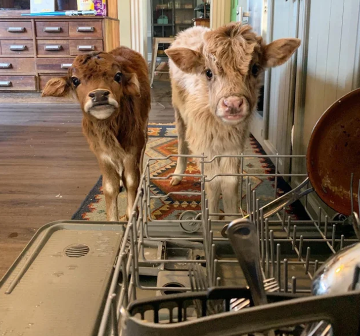 dd13dd5054bc8a4be154d76bcc