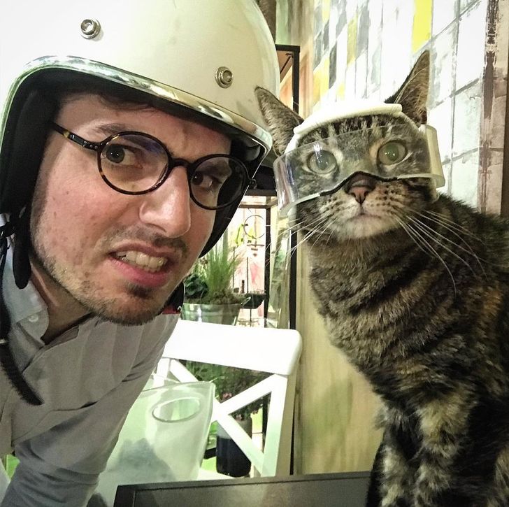 dd1bcc53169acf4ab00492dffe