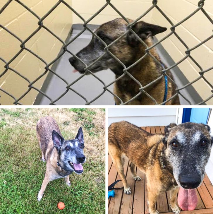 dd27b45818b461830a739e89ee