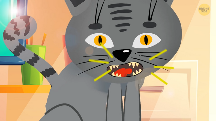 dd2c5855a194eb15640fef75be