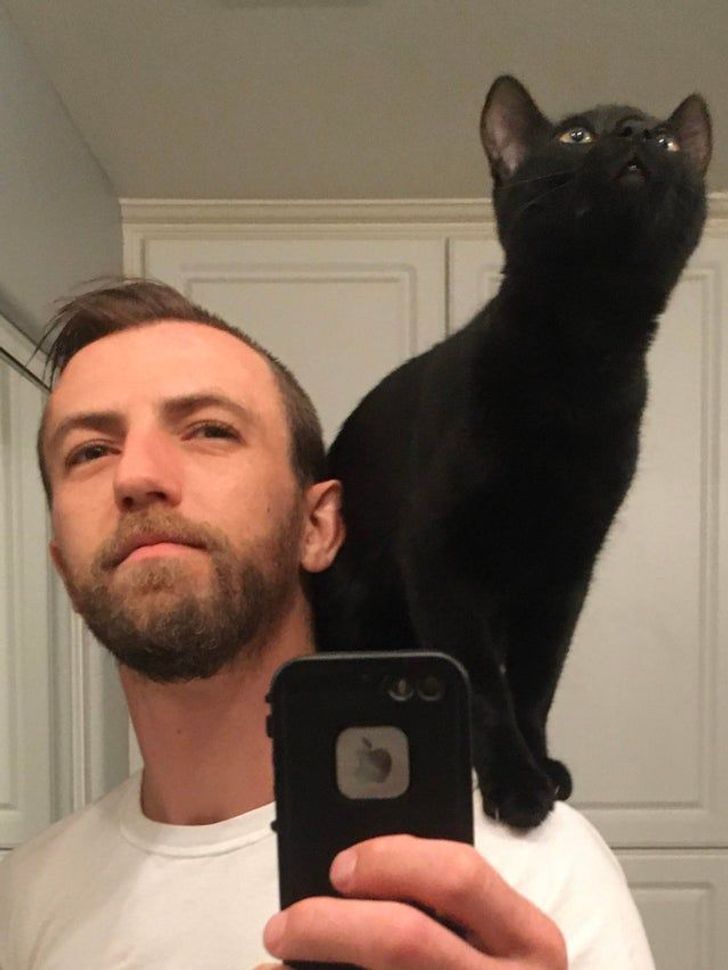 dd2d8e5771965b8a3f2cf1ced6