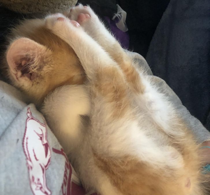 dd31c55228948edd2ec0421e51