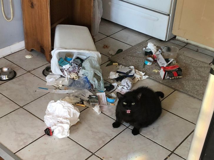 dd32ac5afb8f5bf8031e8313d7