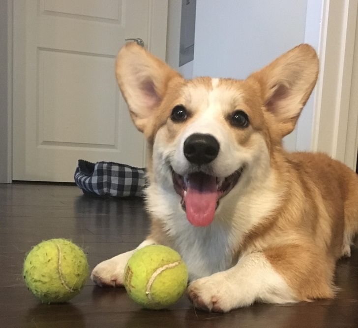 dd49a050a1a661983e024d3861